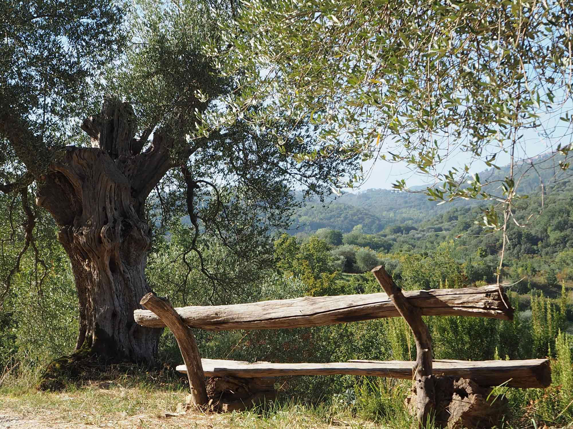 Toskana-Landschaft_Herbst Herbst in der Toscana